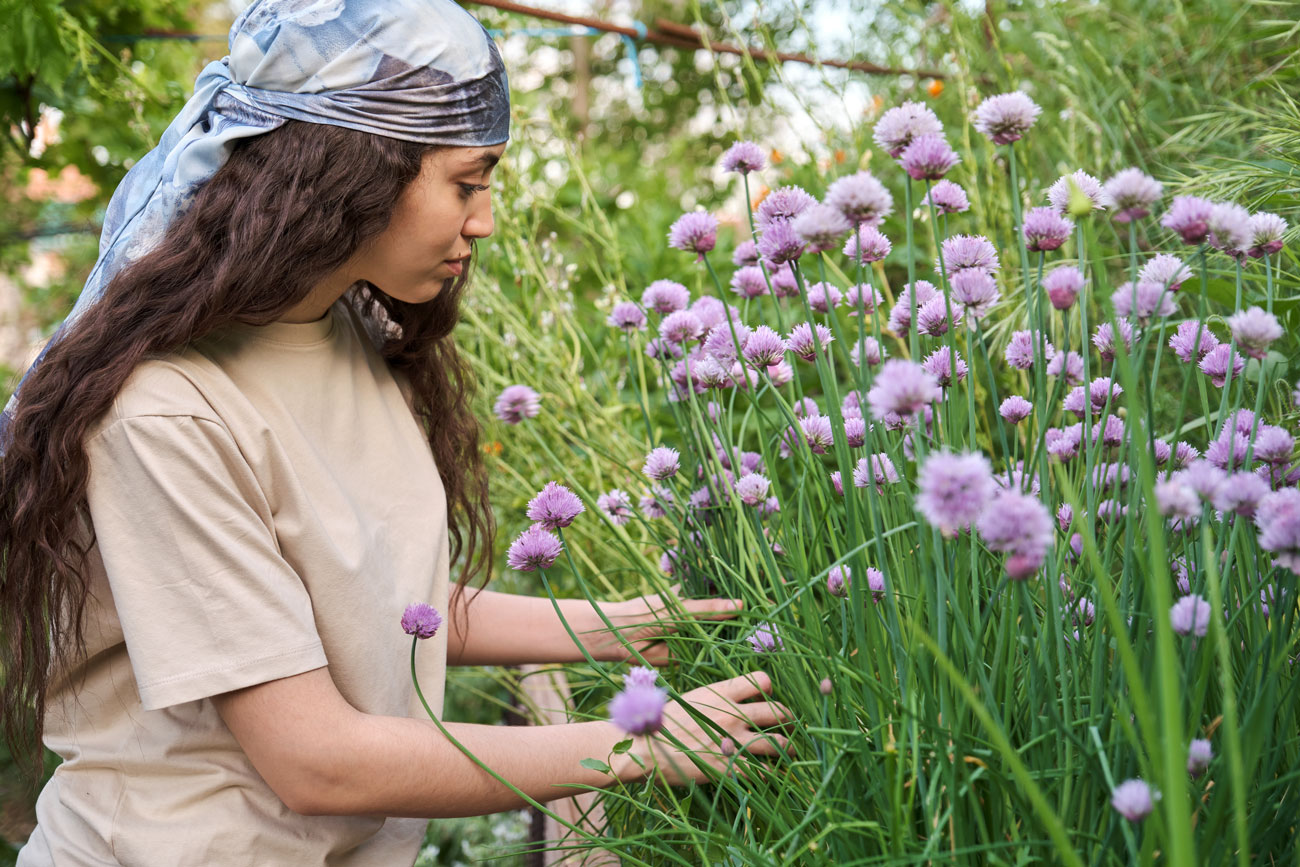 Start your own herb garden today: