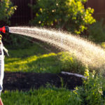 Top 5 methods to conserve water in your garden this Summer