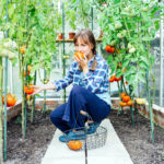 Top tips for protecting tomatoes: conquer bug infestations like a pro!
