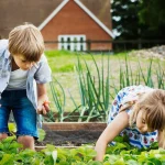 Learn How to Start your own Vegetable Garden in 2024