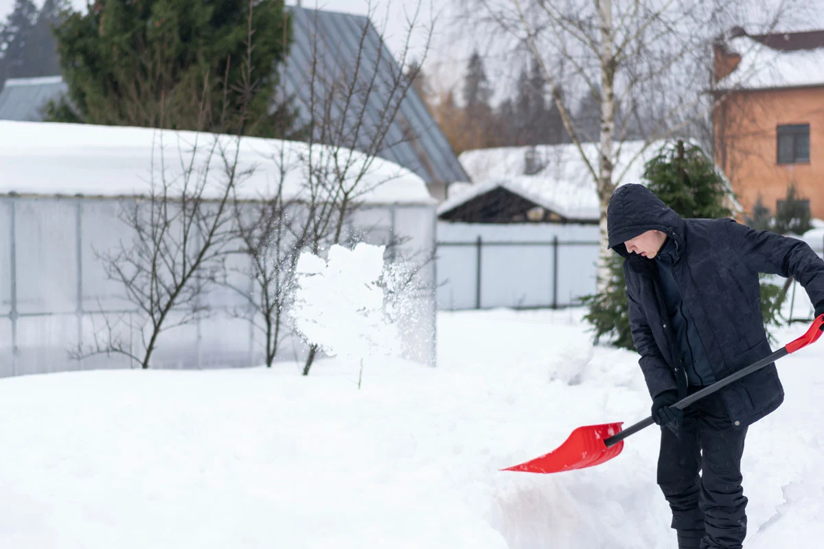 5 Essential Tips to Winterize Your Garden and Keep It Thriving All Year Long