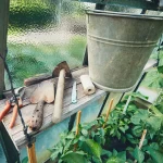 Winter Garden Tool Care: Essential Tips for February Maintenance