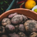 In this article, we will explore why February is considered the month of the potato in the vegetable garden.