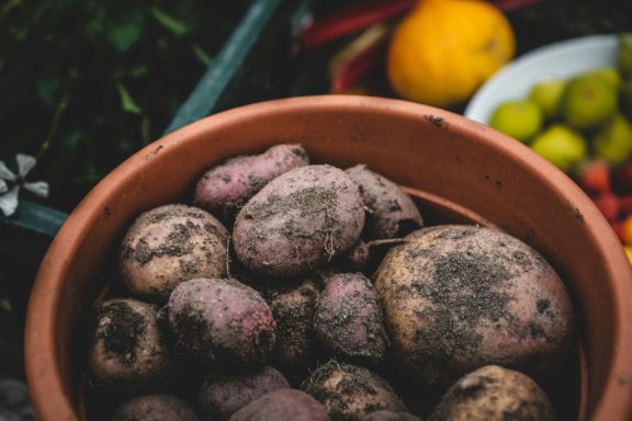 In this article, we will explore why February is considered the month of the potato in the vegetable garden.
