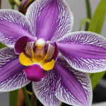 revive your gifted orchid with these tips for reblooming. discover how to bring new life to your orchid and enjoy its blossoms again.