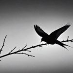 discover the captivating elegance of the graceful black and white silhouette of the swallow, a migratory bird. delve into the beauty of nature as you explore the elegant flight and striking contrast of this exquisite avian species.